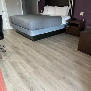 check availability